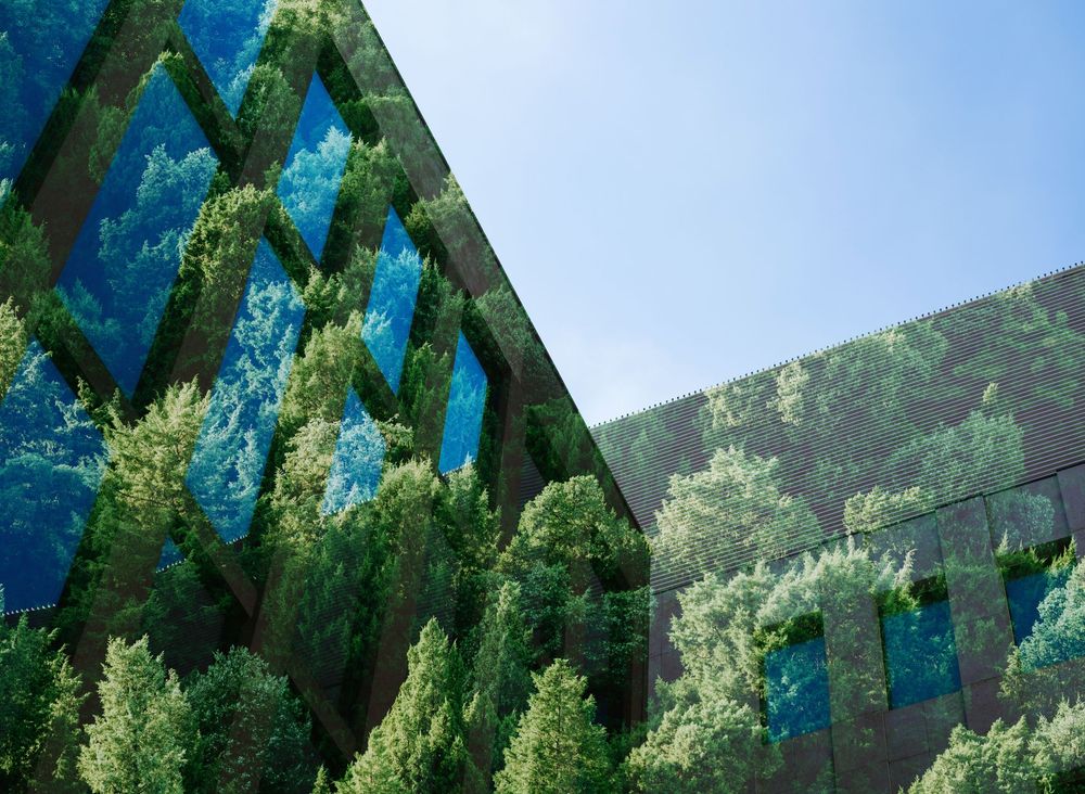 sustainability, ESG, ESG investing, investing in sustainability, Penny Byrne, SBG Securities